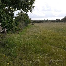 Terreno agricolo di 5600 metri/quadri