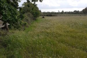 Terreno agricolo di 5600 metri/quadri