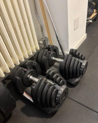 Coppia manubri regolabili BOWFLEX SelecTech 552