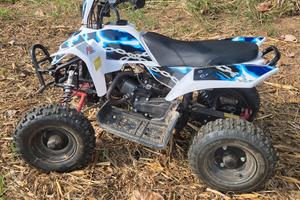mini quad