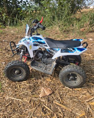 mini quad