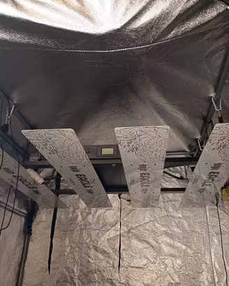 Lampada led the Eagle 1000w grow the jungle
