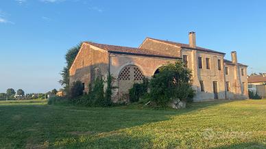 Rustico con terreno
