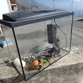 acquario 