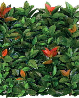 Siepe Parete Verticale Artificiale Photinia 1x1M