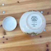 VASI PORTA TE, TEIERE, MADE IN ENGLAND