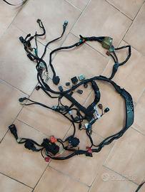 Honda CBR 600RR 2007 cablaggio pompa lambda