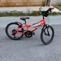 bicicletta 20"