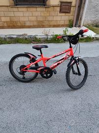 bicicletta 20"