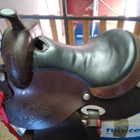 Cavallo sella americana