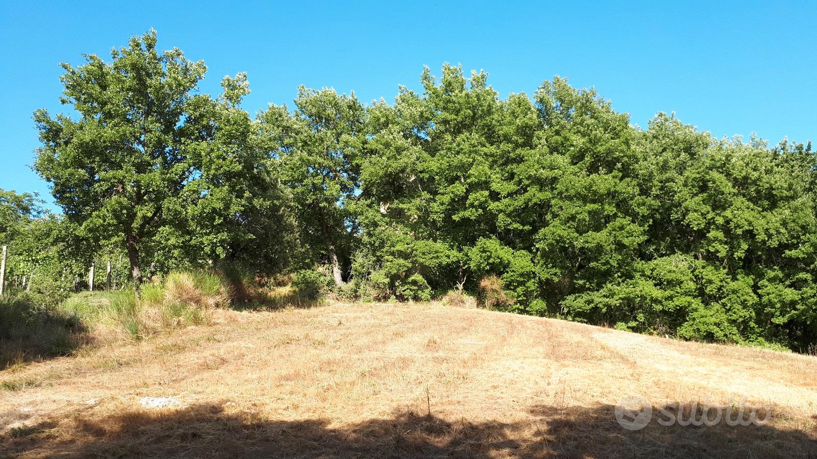 Terreno edificabile panoramico con bosco - Vista 2