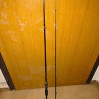 Canna da Pesca a Casting