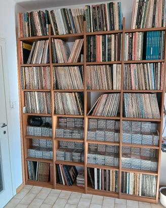 Dischi in vinile di musica classica