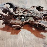 legno tronco per terrari acquari decori