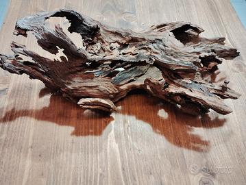 legno tronco per terrari acquari decori