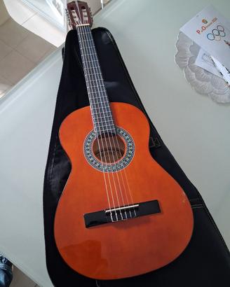Chitarra Maxine 