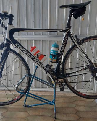 Bici da corsa