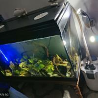 acquario completo di accessori 