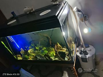 acquario completo di accessori 