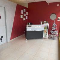 Attività di toelettatura