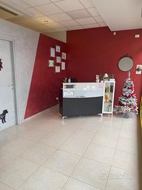 Attività di toelettatura