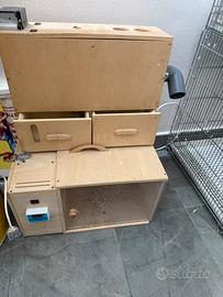 Camera calda , soffia semi canarino , cardellino