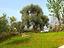Immagine 24