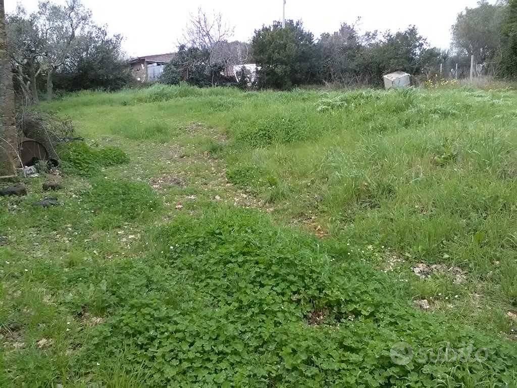 Terreno di 900 m² a Monte Romano - Altro