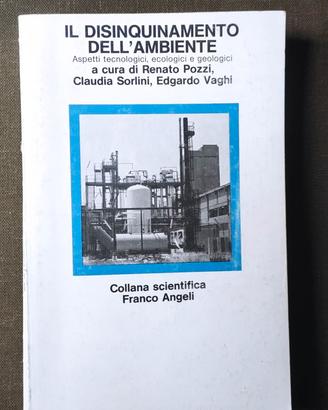 disinquinamento dell' ambiente, Franco Angeli, Mi 