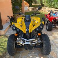 CAN-AM BRP Renegade 800
