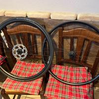 Cerchi bdc disc DT Swiss Performance LN