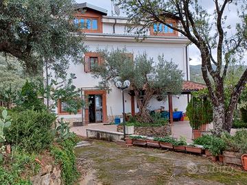 Casa indipendente con terreno