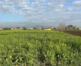 TERRENO AD ATTREZZATURE SPORTIVE
