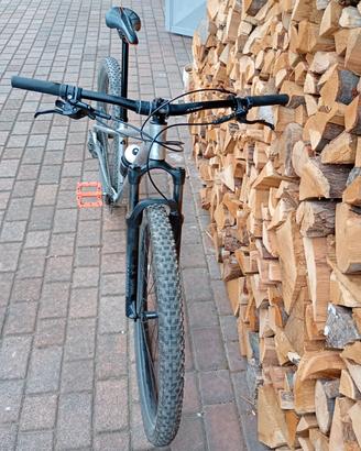 MTB specialized front