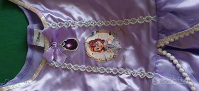 vestito carnevale principessa