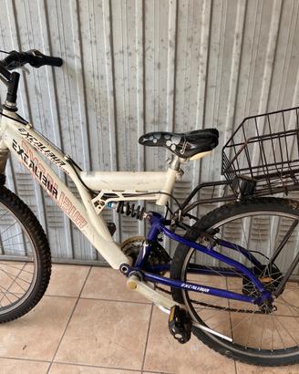 Mountain bike exalibur zoom ragazzi 24 pollici
