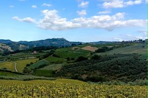 Terreno agricolo