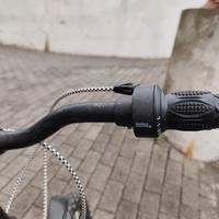 bicicletta raggio 20