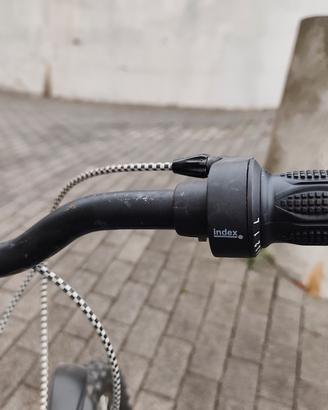 bicicletta raggio 20
