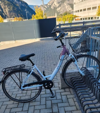 Bici da donna con cambio shimano