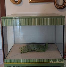 acquario 