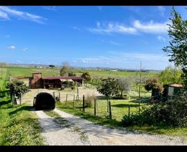 Terreno agricolo attrezzato per cavalli