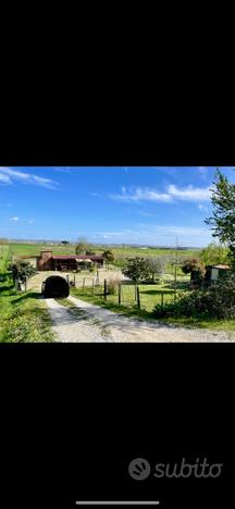 Terreno agricolo attrezzato per cavalli