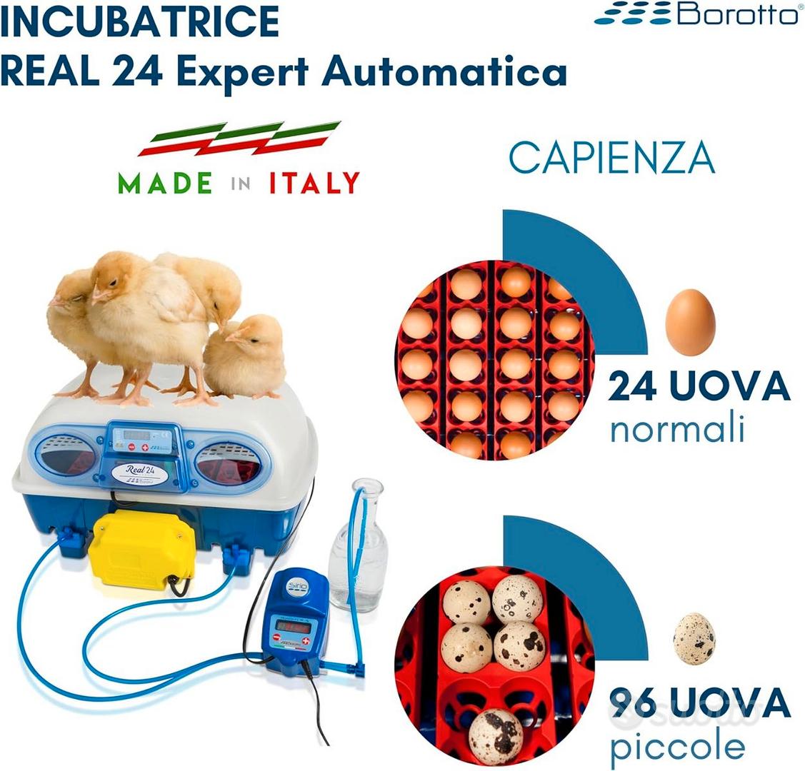 INCUBATRICE AUTOMATICA 15 POSTI UOVA DISPLAY LCD QUAGLIA ANATRA GALLINA  PERNICE FAGIANO