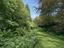 Immagine 19