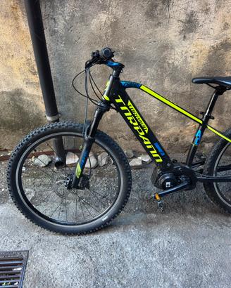 Torpado, modello Chronos 26"