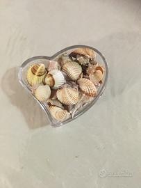 Centro tavola vasetto porta gioie conchiglie ?