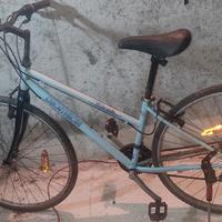 bici canna bassa