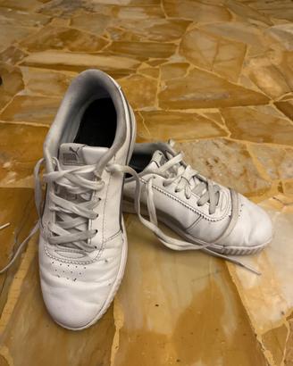 Puma 39