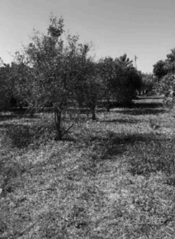 Immobile in asta di 13696 m² a Palagonia - Vista 3